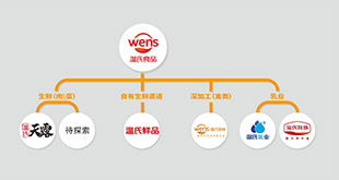 九州酷游食品品牌架构